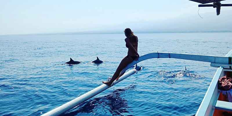 Wisata Lumba-lumba Lovina, Atraksi Dolphin liar di Lovina