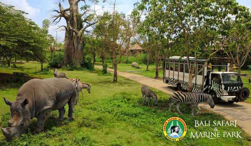 Bali Safari and Marine Park - Serunya liburan bersama keluarga
