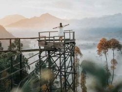 Pinggan Sunrise Camping – highlights and Price