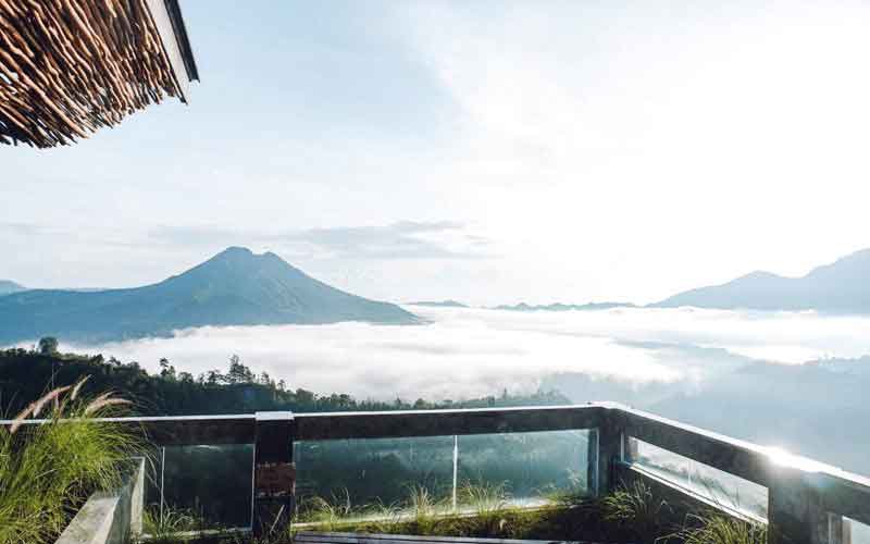 Tegu Kopi View Gunung yang lagi hits