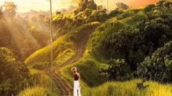 bukit campuhan ridge walk ubud