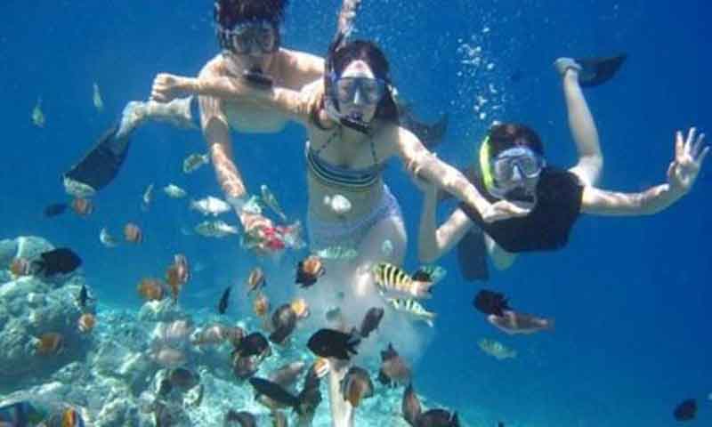 Snorkeling di Mangrove Point