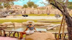 12 Places of interest on the way to Kintamani