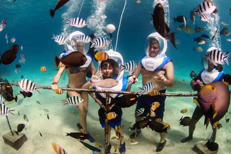 Seawalker Bali – Kegiatan Seru dan Aman menikmati Alam Laut