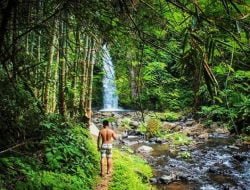 Serunya Petualangan di Desa Wisata Petang Badung, Bali