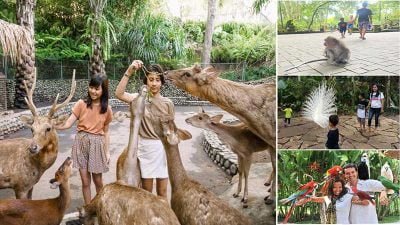 Tempat Wisata di Ubud untuk Anak