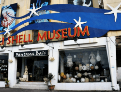 Museum Bali Shell: Surga Kerang Unik di Tengah Riuhnya Kuta